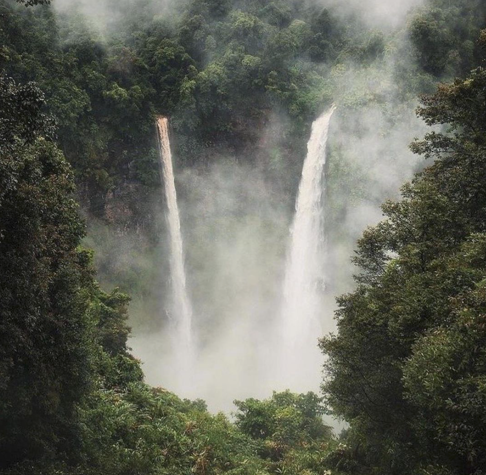 How and Why to Digital Detox (at least from social media)