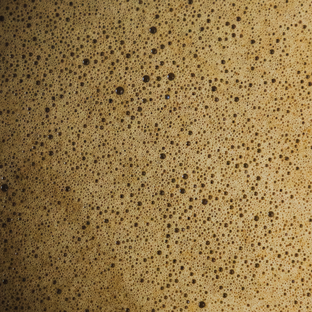 JENKI Hojicha | 30g tin