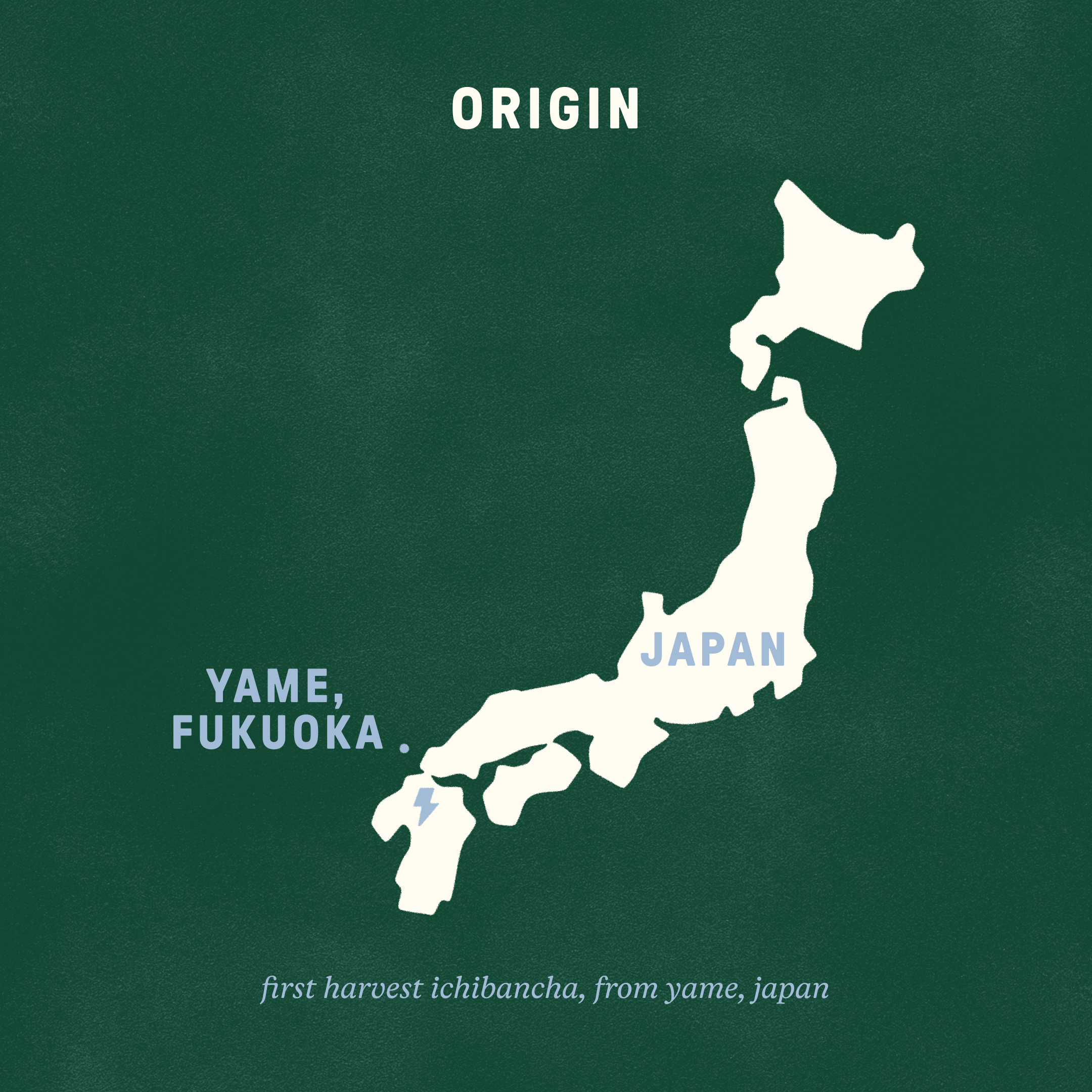 JENKI Saekari Matcha | 30g Tin