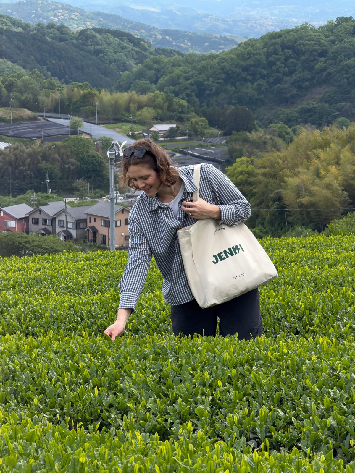 FROM THE FIELDS OF YAME: SHADING & HARVEST