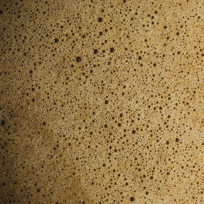 JENKI Hojicha - 30g tin